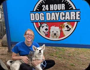 Professional Dog Grooming Services | 24 Hour Dog Daycare