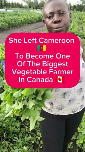 Best Vegetable Farming Tips from Calgary's Success Story
