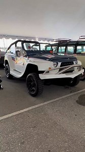 22K views · 797 reactions | Amphibious Watercar Panther SOLD #amphicar #watercar #panther #amphibious | ClassicCars.com | Facebook