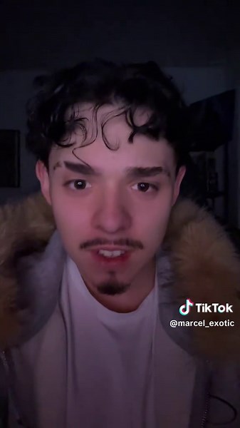 Mxrcl🦖 (@marcel_exotic)’s videos with Loving machine slowed instrumental - yiffgoo