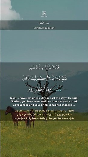 Surah Al-Baqarah 2:259 | سورة البقرة | Saud Al-Shuraim | English & Kurdish