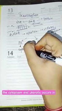 transcription overview...why double stranded DNA for single stranded RNA ? #bsczoology #genetics