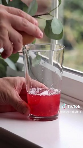 Classic Clover Club Gin Cocktail Recipe