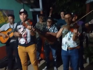 Conjunto Musical America Del Sur / La Camioneta Gris ❤️‍🔥🫶 Saluditos Para Ellos @fans destacados | MarielaCHn
