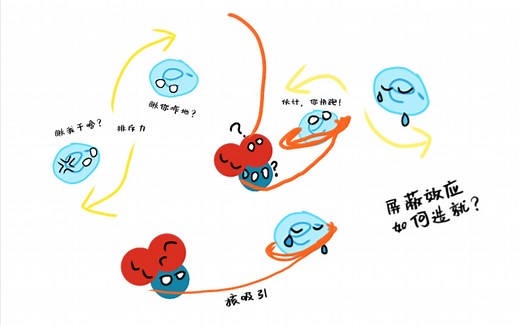 [动画]屏蔽效应如何造就？