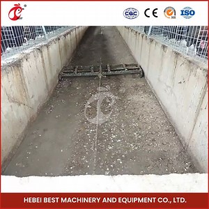 [Hot Item] Bestchickencage China Poultry Farm Automatic Manure Scraper Removal System Factory Custom Corrosion Resistant Poultry Chicken Farm Manure Removal System