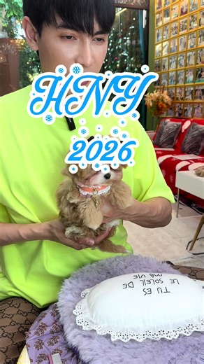 Happy New Year 2026: Celebrate with Mini Bichons