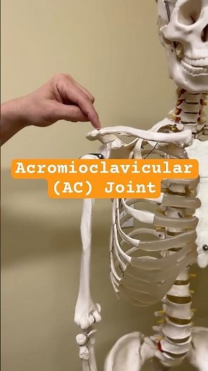 Fix AC Joint / Collarbone Pain NOW! | Quick and Easy Exercise! #acjoint #clavicle #pain #exercise