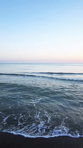 New Meme VN trên TikTok