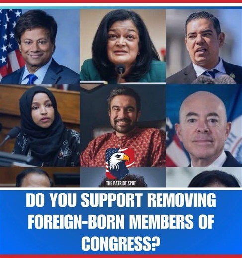 JD Vance Supporter | REMOVE THEM NOW!! 𝐓𝐨𝐝𝐚𝐲'𝐬 𝐏𝐨𝐥𝐥: Do you support removing foreign-born members of Congress? | Facebook