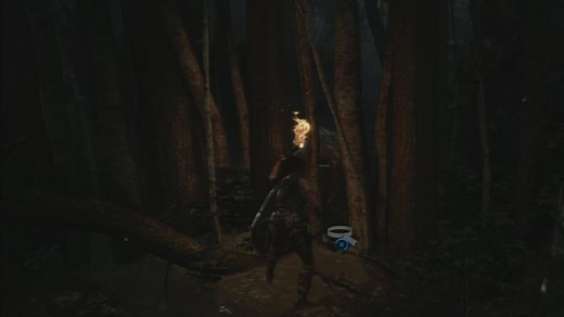 Summit Forest GPS Caches