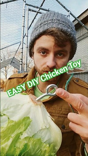 EASIEST Chicken toy! DIY!