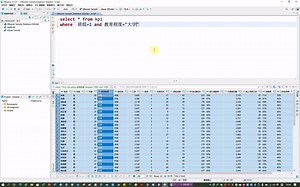 SQL语言基础3：混合及between查询条件的设定