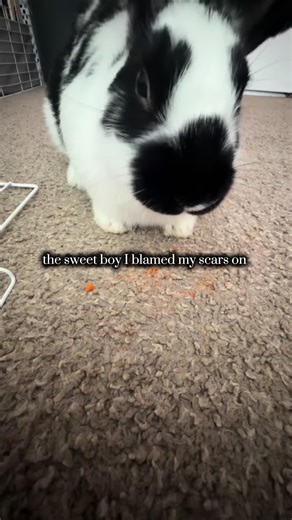 Megan coleman (@megan.coleman737)’s videos with original sound - 🦄🦖