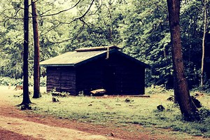 Top 5 Best Padlocks for Outdoor Sheds • (2025 Reviews)