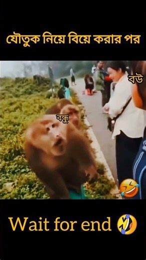 share Karo apni dst ko🤣#funny #comedy #shorts #trending