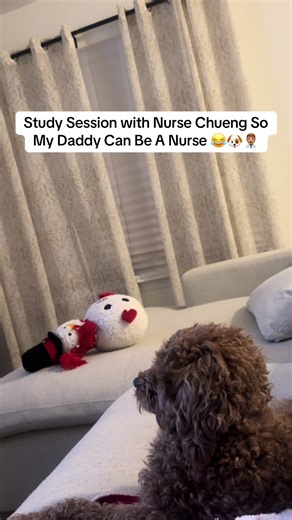 Understanding Acidic and Basic Substances in Chemistry