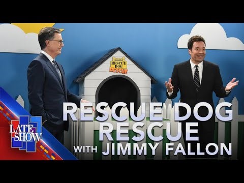 Rescue Dog Rescue with Jimmy Fallon