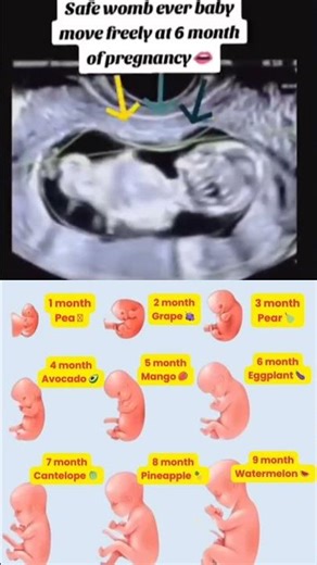 6 month baby moving freely in mother womb