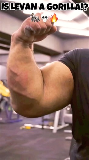 Levan Saginashvili’s Arms Are Bigger Than a Gorilla’s! 🦍🤯💀 #armwrestling #record #worldrecord #measurement #measuring #huge #size #armwrestler #curl #barbellcurl #180kg #400lbs #levansaghinashvili #levan #saginashvili #gorilla #kingkong #pr #heaviest #armwrestle #levansaginashvilithegorgianhulk #biceps #bicep #workout #training #motivation #strong #bicepcurl #strongman #bicepcurls #heavyweight #strengthtraining #devon #larratt #armwrestlingtraining #devonlarratt #brianshaw #ermesgasparini #vi