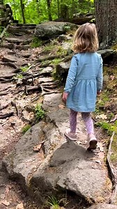 6.7K views · 144 reactions | Check out IG User: @scrantonmom's day trip to Nay Aug Park in Scranton, PA! ❤️ Nay Aug features walking trails, picnic areas, playgrounds, a treehouse, gorgeous scenery, and so much more, making it the perfect place the bring the whole family!  visitnepa.org/nay-aug-park • #VisitLackawannaPA “A child, more than anyone else, is a spontaneous observer of nature.” – Maria Montessori  | Lackawanna County Visitors Bureau | Facebook