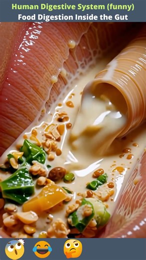 #digestivesystem #guthealth