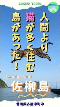 佐柳島「瀬戸内海に浮かぶネコの島！」