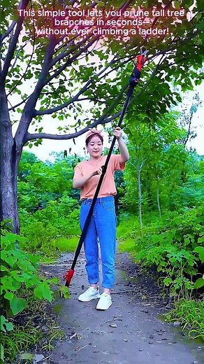 The Smartest Way to Prune Tall Trees Without Climbing! 🌳✂️