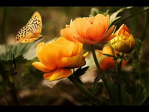 beautiful, peaceful piano instrumental of Danny Boy - 4 hour loop - relax and sleep!