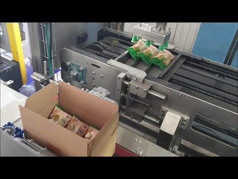 Auto Case Packer for Bags