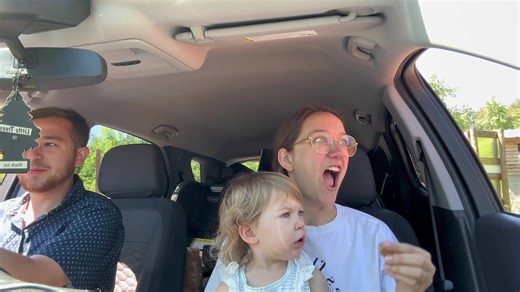 Come with us through a drive through safari 😅 #sahm #toddlersoftiktok #wildsafari #buffalo #emu