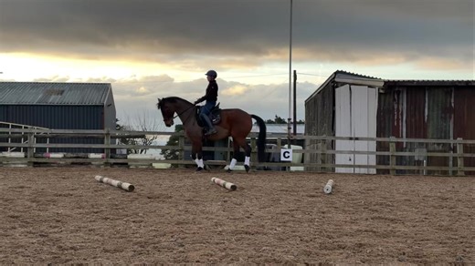 4.6K views · 76 reactions | So I don’t really spend time training the...