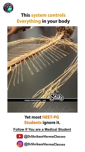 Why Most NEET PG Students Ignore Neuroanatomy | Nervous System Explained | NEET PG Preparation