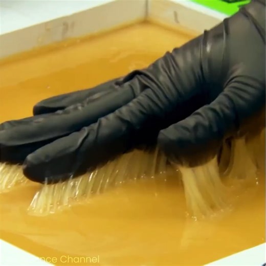 Humans attempting to Escape from Giant Glue Trap!