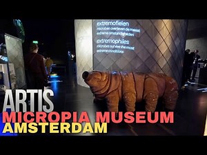 Artis Micropia Amsterdam Walking Tour 🧬 The Only Microbe Museum in the World!