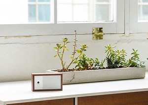 be aware of the air you breathe with bitfinder awair