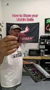 3700 Plano Box - great for Urchin Bait storage #bassfishing