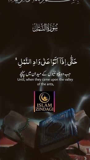 Surah An-Naml | Beautiful Quran recitation!