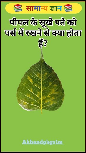 पीपल के सूखे पते को पर्स में रखने से क्या होता हैं? #gk #gkhindustan #lucent #gkquestion #staticgk