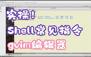 【数字前端设计】Shell常见指令与gvim编辑器实操演示