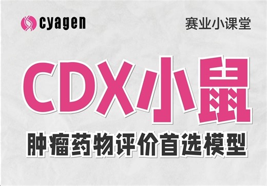 CDX小鼠——肿瘤药物评价首选模型