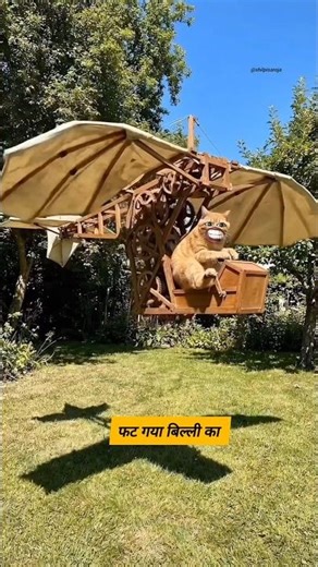 फट गया बिल्ली का #funny #thetharpuns #shilpisaroja #comedy