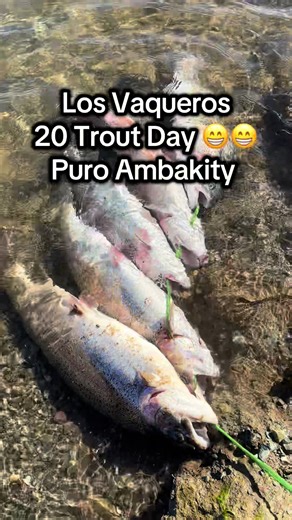 Best Day Trout Fishing at Los Vaqueros Lake