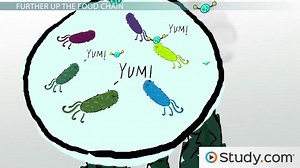 Bacteria that Live in Deepwater Vent Ecosystems - Video | Study.com