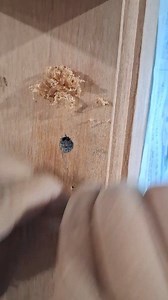 How to remove glue residue from wooden door #woodfinishing #woodworking #fblifestyle #Craft #Woodcraftsman | Nurhady Senory