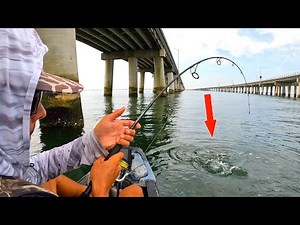 FEEDING FRENZY At The Big Bridge (Chesapeake Bay Bridge Tunnel Kayak Fishing)