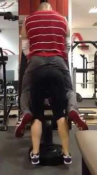 Donkey Calf Raises