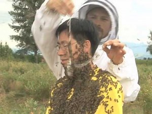 Bee Beard Demonstration by Dr. Bee