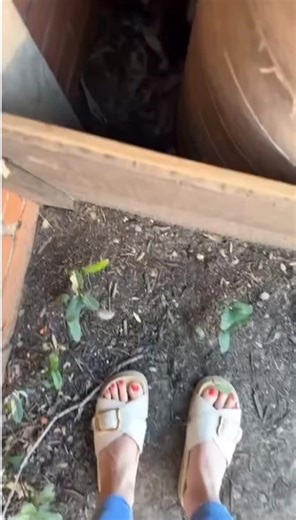 dont_look_out_my_window on TikTok