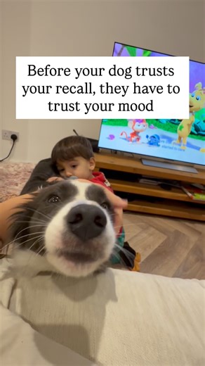 Your dog reads you before they ever listen to you. If your energy feels calm and safe, they believe you. If it feels tense or frustrated, they hesitate. You can’t teach trust through commands. You teach it through how you show up in every moment. 👉Comment WANT if you want to learn how to build calm, confident trust your dog can always count on. | The Furry Squad
